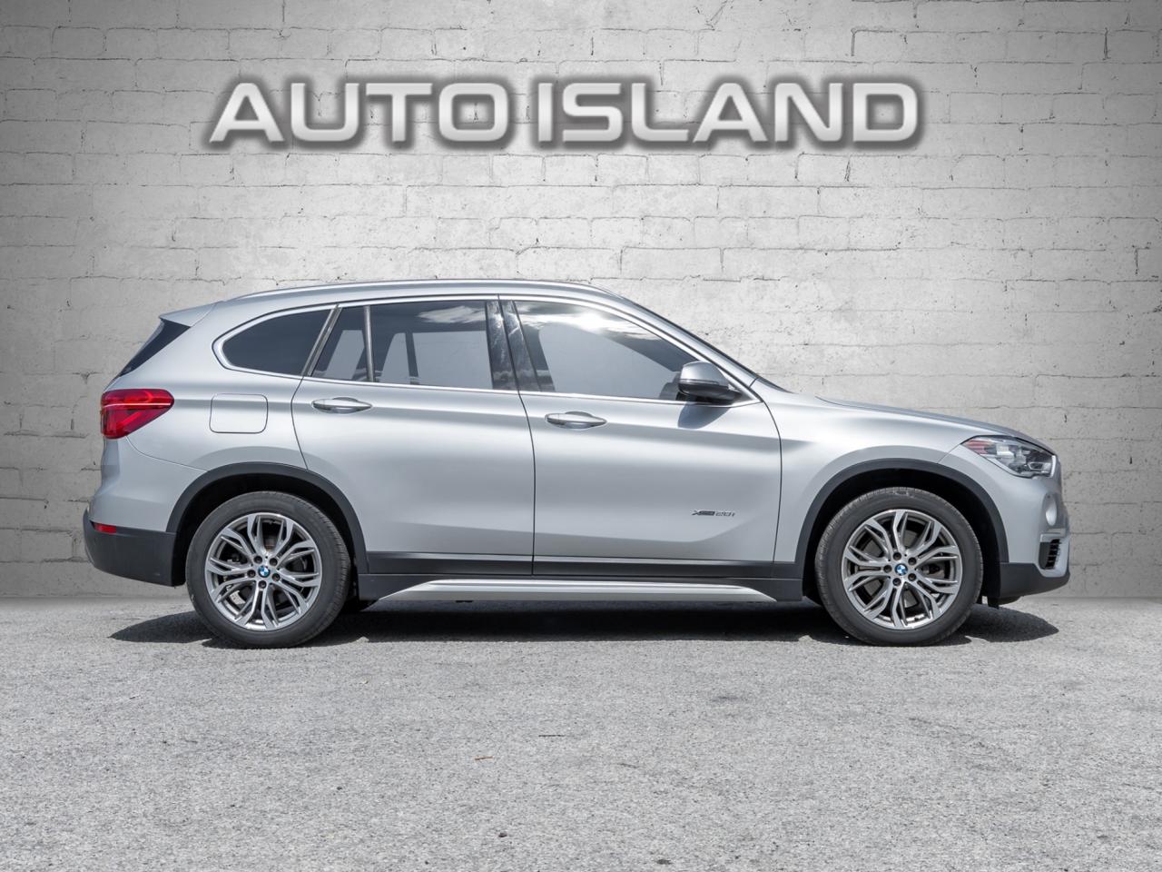 2018 BMW X1 XDrive28i Premium PKG-Dealer Serviced-Pano Roof-Sp Photo