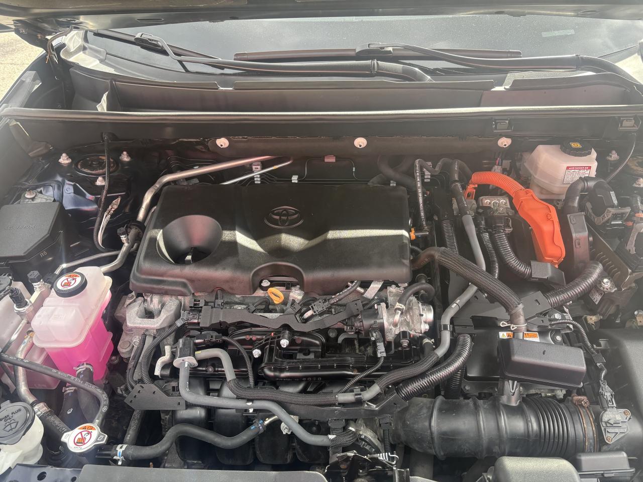 2023 Toyota RAV4 Hybrid XLE AWD Photo