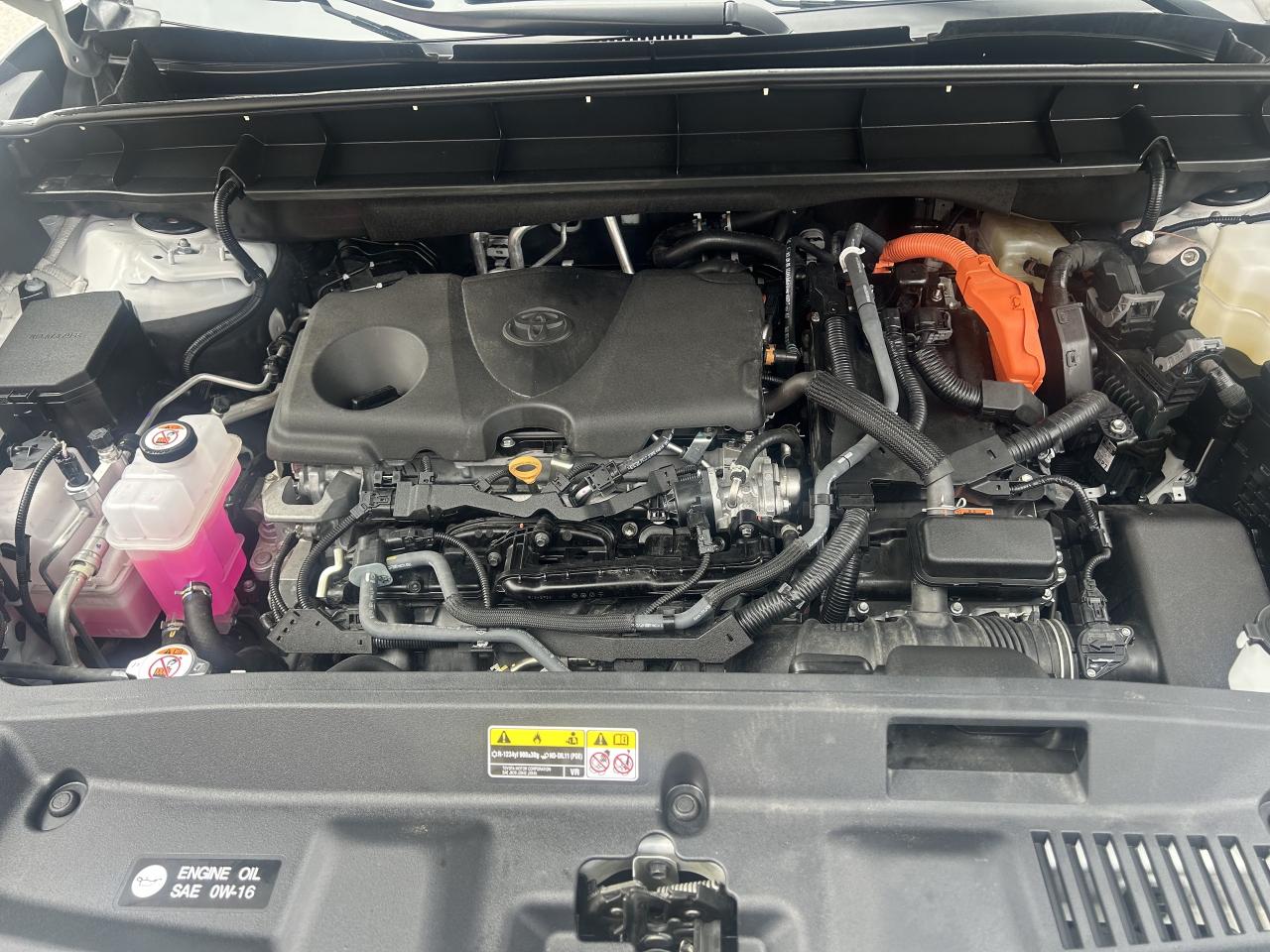 2024 Toyota Highlander HYBRID xle awd Photo