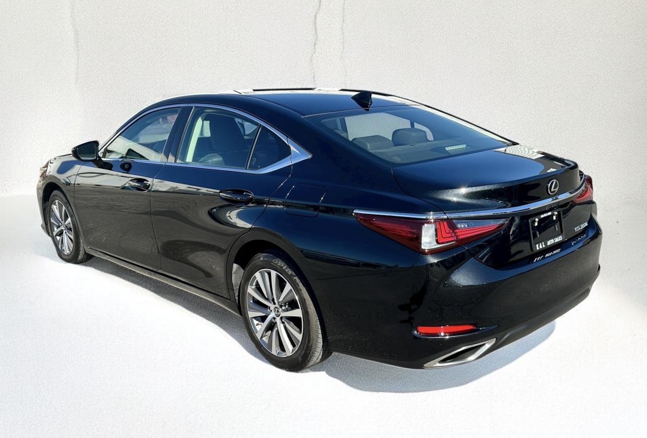 2020 Lexus ES ES 350 ~ ONE OWNER ~ NO ACCIDENTS ~ CERTIFIED Photo3