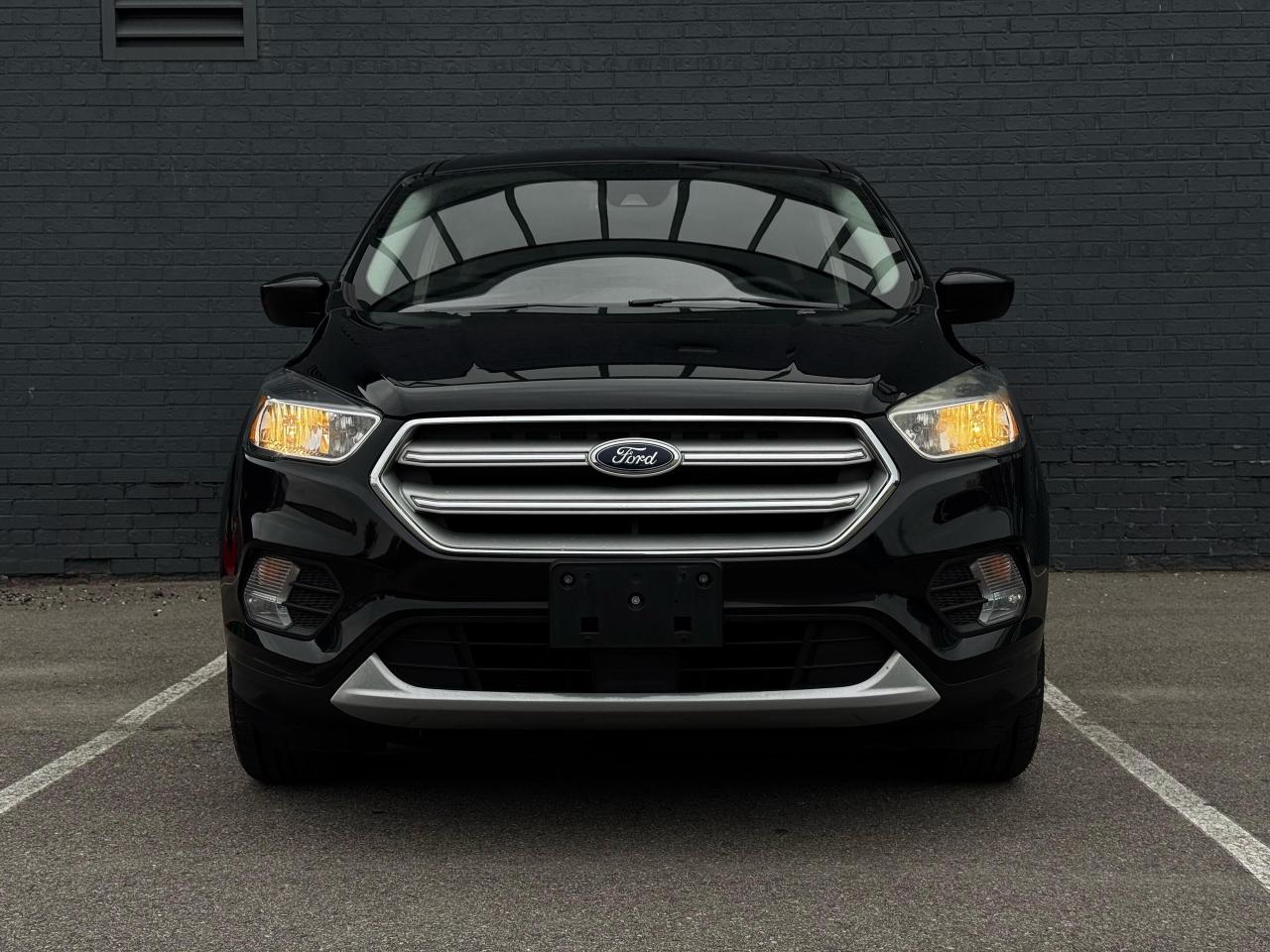 2019 Ford Escape SE 4WD Photo