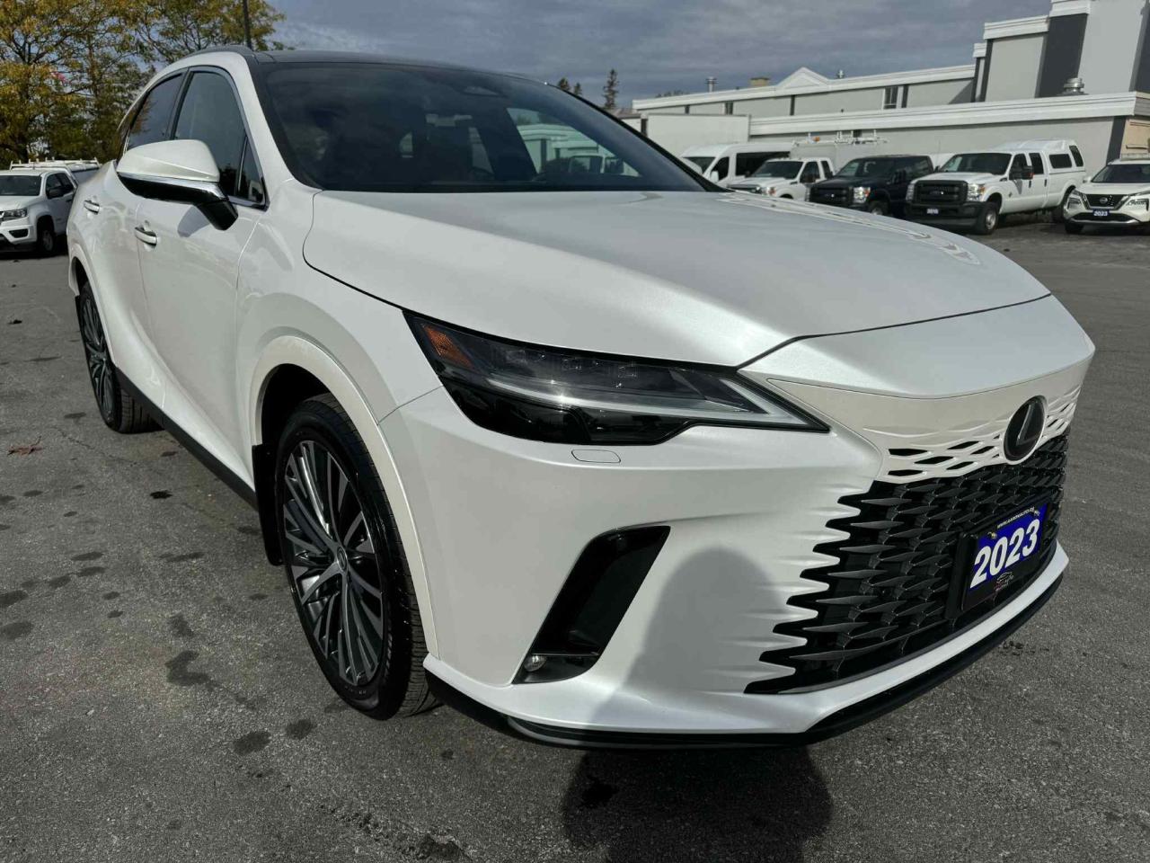 2023 Lexus RX RX 350h Photo