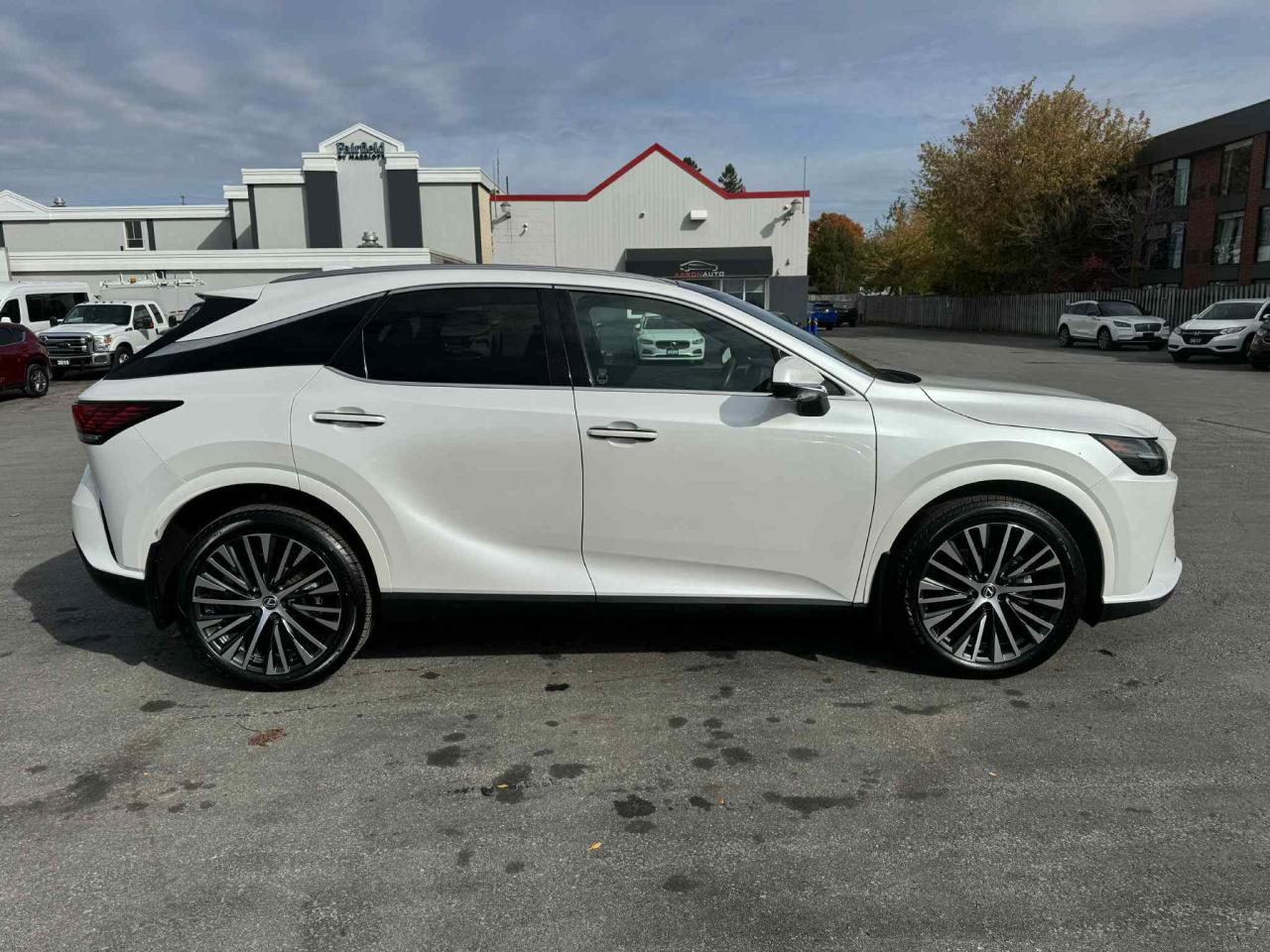 2023 Lexus RX RX 350h Photo