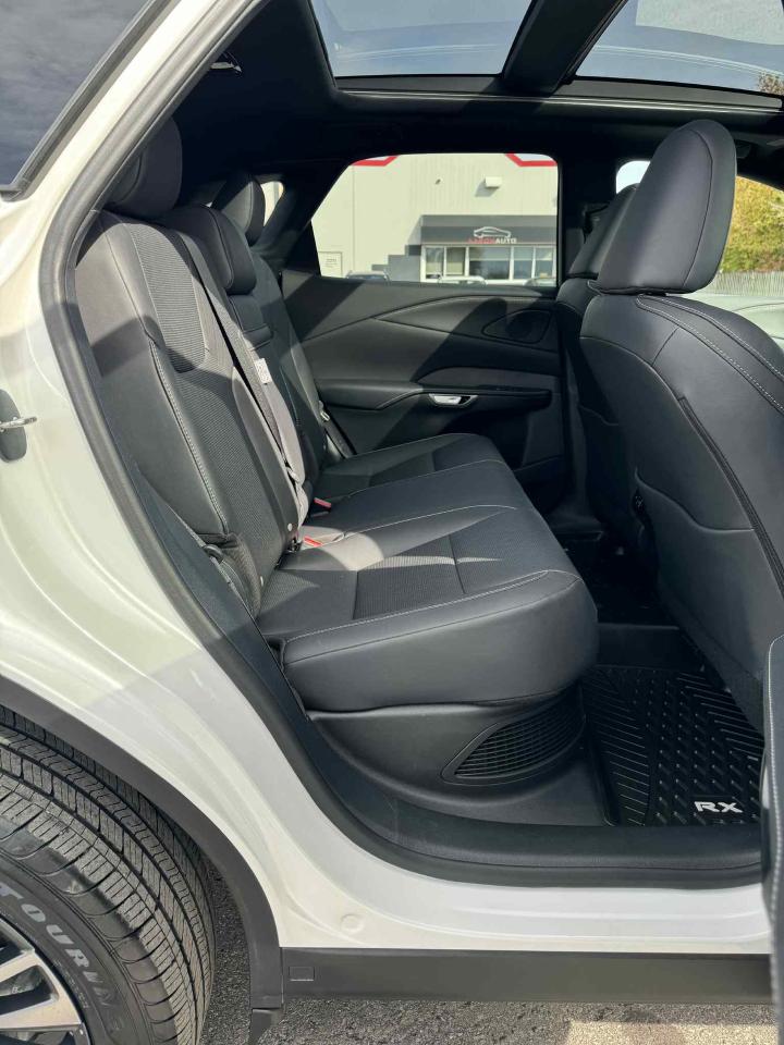 2023 Lexus RX RX 350h Photo