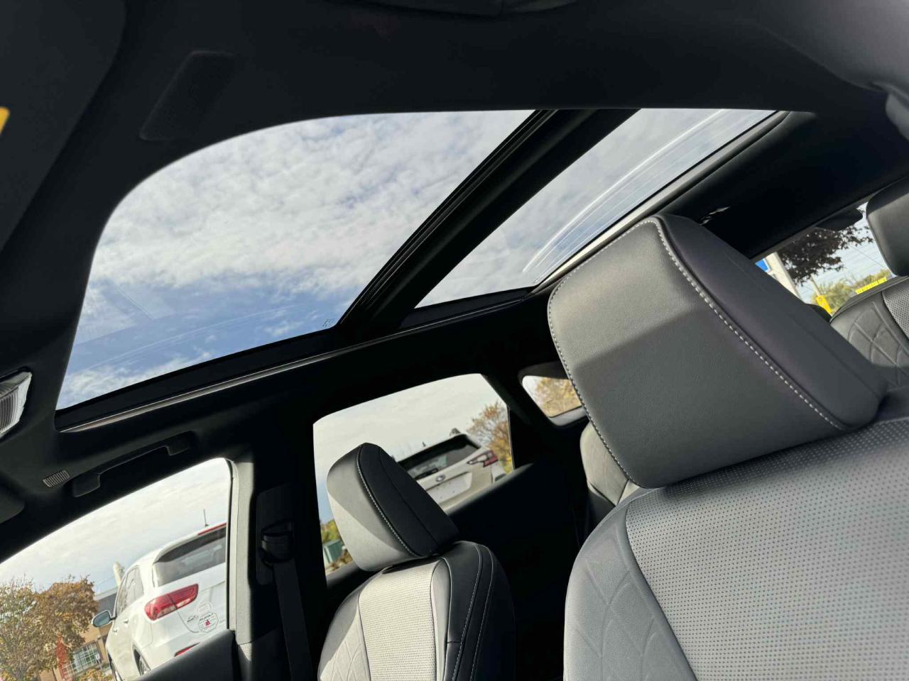 2023 Lexus RX RX 350h Photo