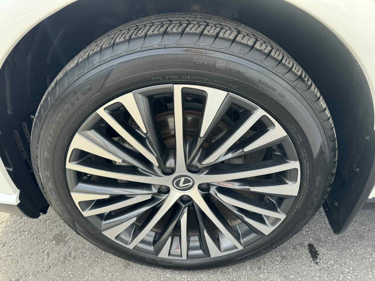 2023 Lexus RX RX 350h Photo