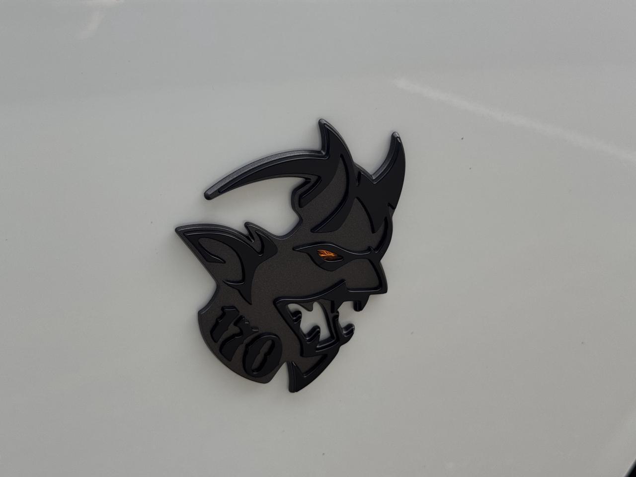 2023 Dodge Challenger SRT DEMON 170  WIDEBODY  RWD Photo