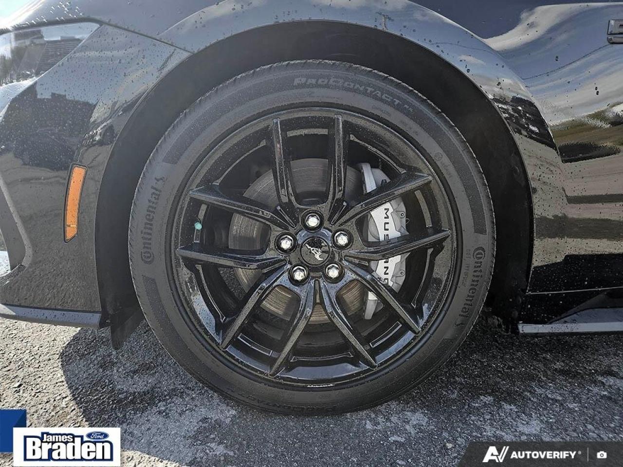 2024 Ford Mustang PREMIUM   NITE PONY PKG   ACTIVE VALVE EXHAUST Photo