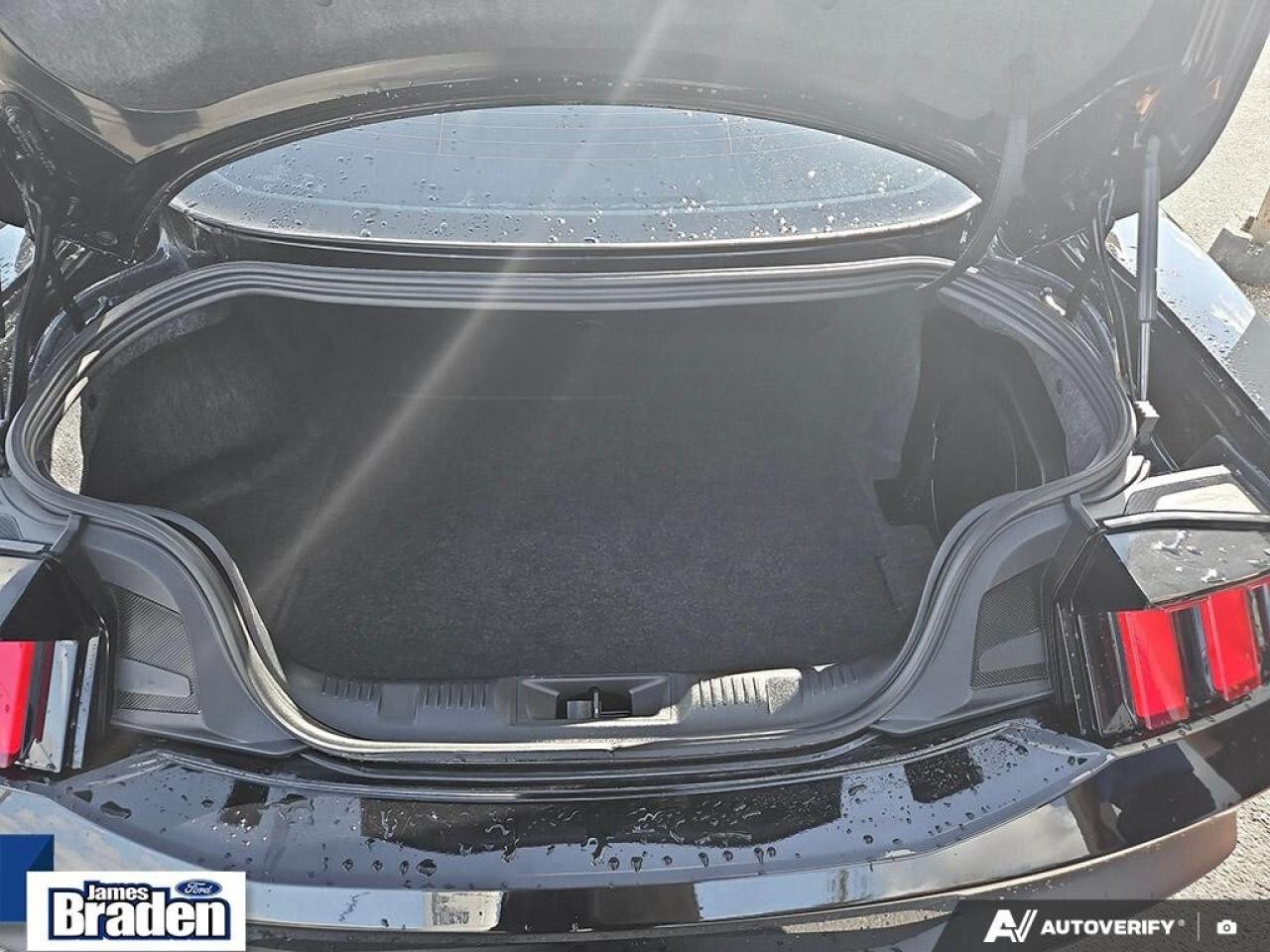 2024 Ford Mustang PREMIUM   NITE PONY PKG   ACTIVE VALVE EXHAUST Photo