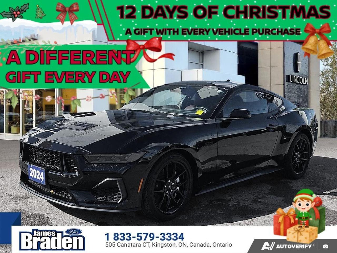 2024 Ford Mustang PREMIUM   NITE PONY PKG   ACTIVE VALVE EXHAUST Photo0