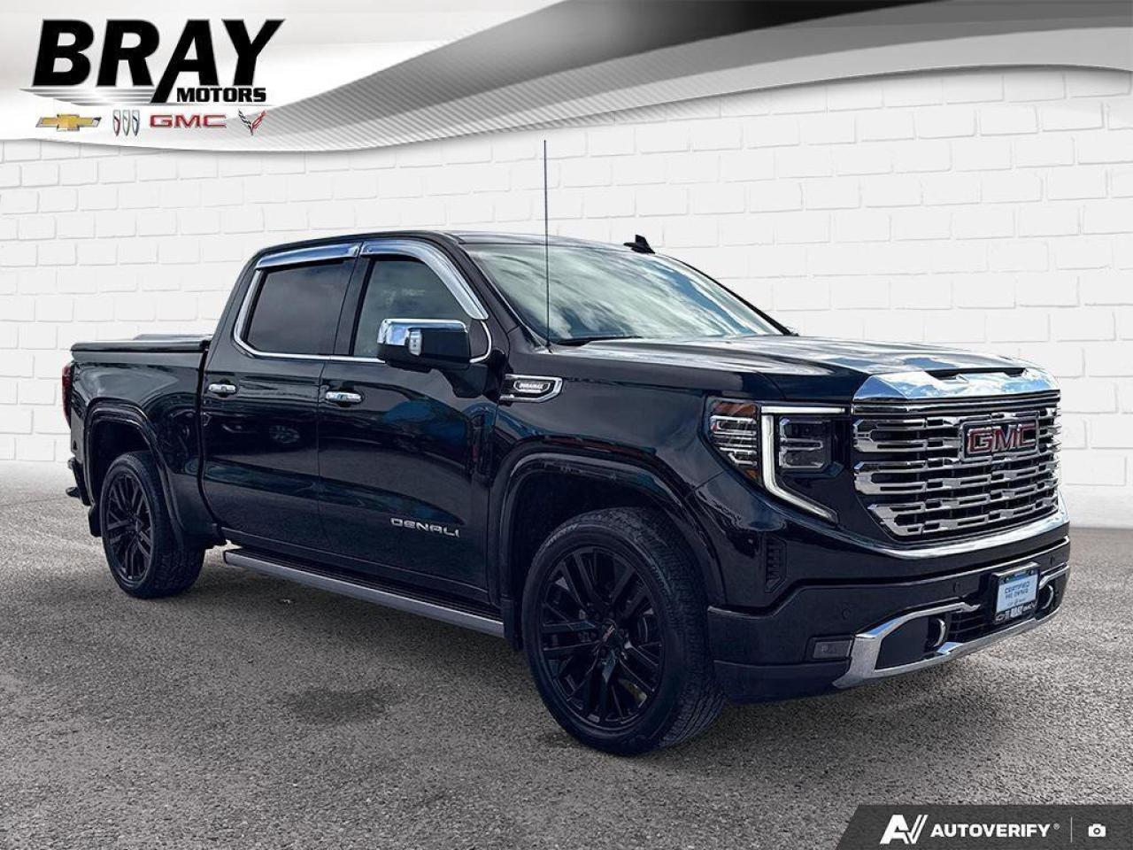 2022 GMC Sierra 1500 Denali HELLO BEAUTIFUL   POWERFUL AND STYLISH Photo
