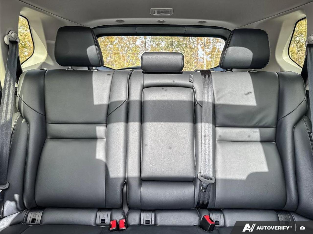 2023 Nissan Rogue SL Photo