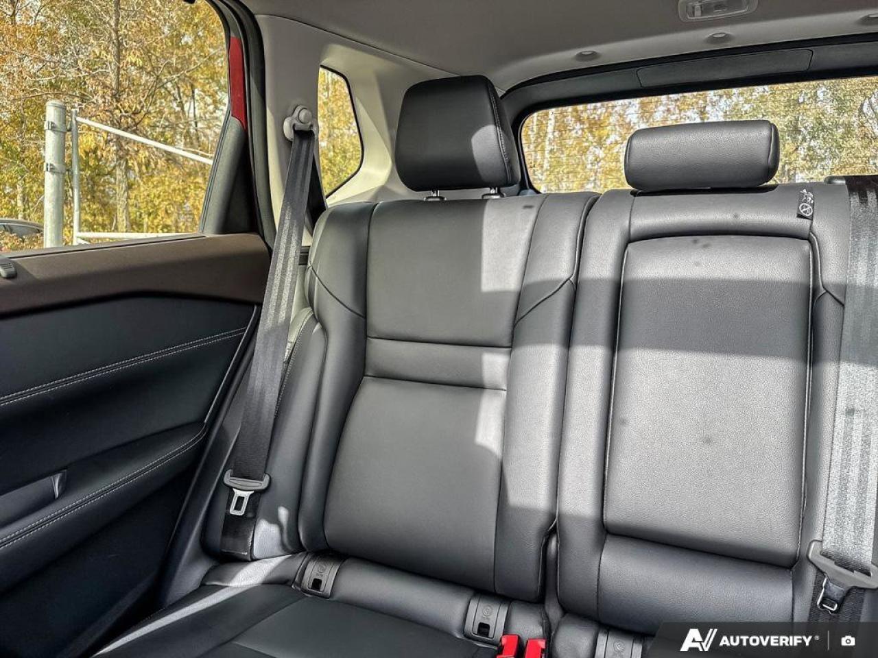 2023 Nissan Rogue SL Photo