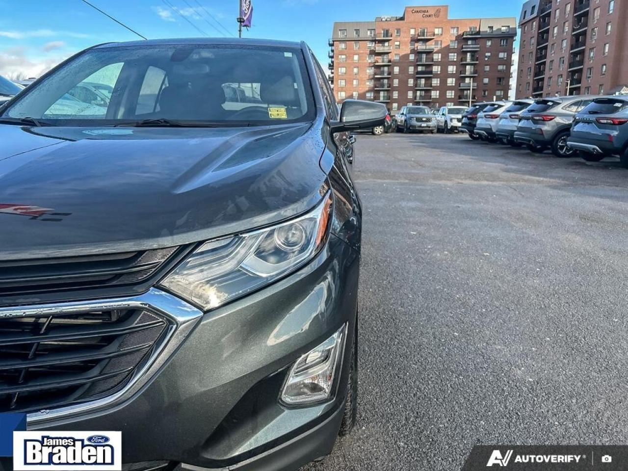 2019 Chevrolet Equinox LT   LOW MILEAGE   CLEAN CARFAX Photo