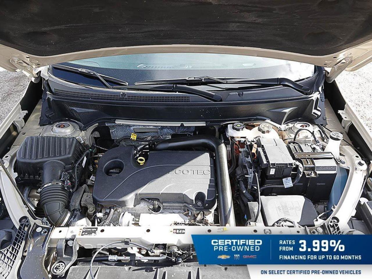 2023 GMC Terrain SLESLE ELEVATION, 1.5T, AWD, NAV, ROOF, HEATED CLO Photo