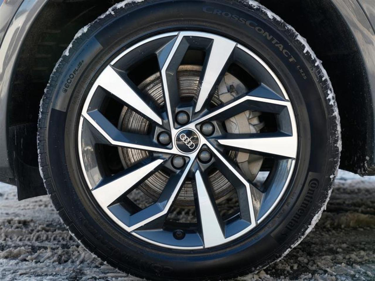 2023 Audi Q5 45 2.0T Progressiv quattro 7sp S Tronic Photo