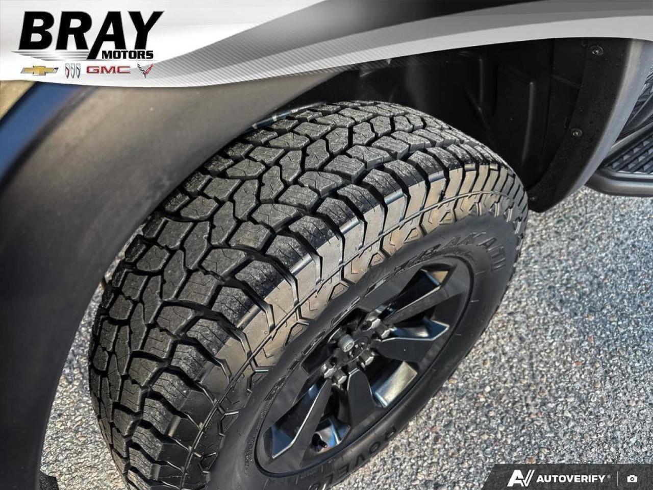 2022 RAM 1500 Rebel   LUXURIOUS AND POWERFUL   NIGHT EDITION   R Photo