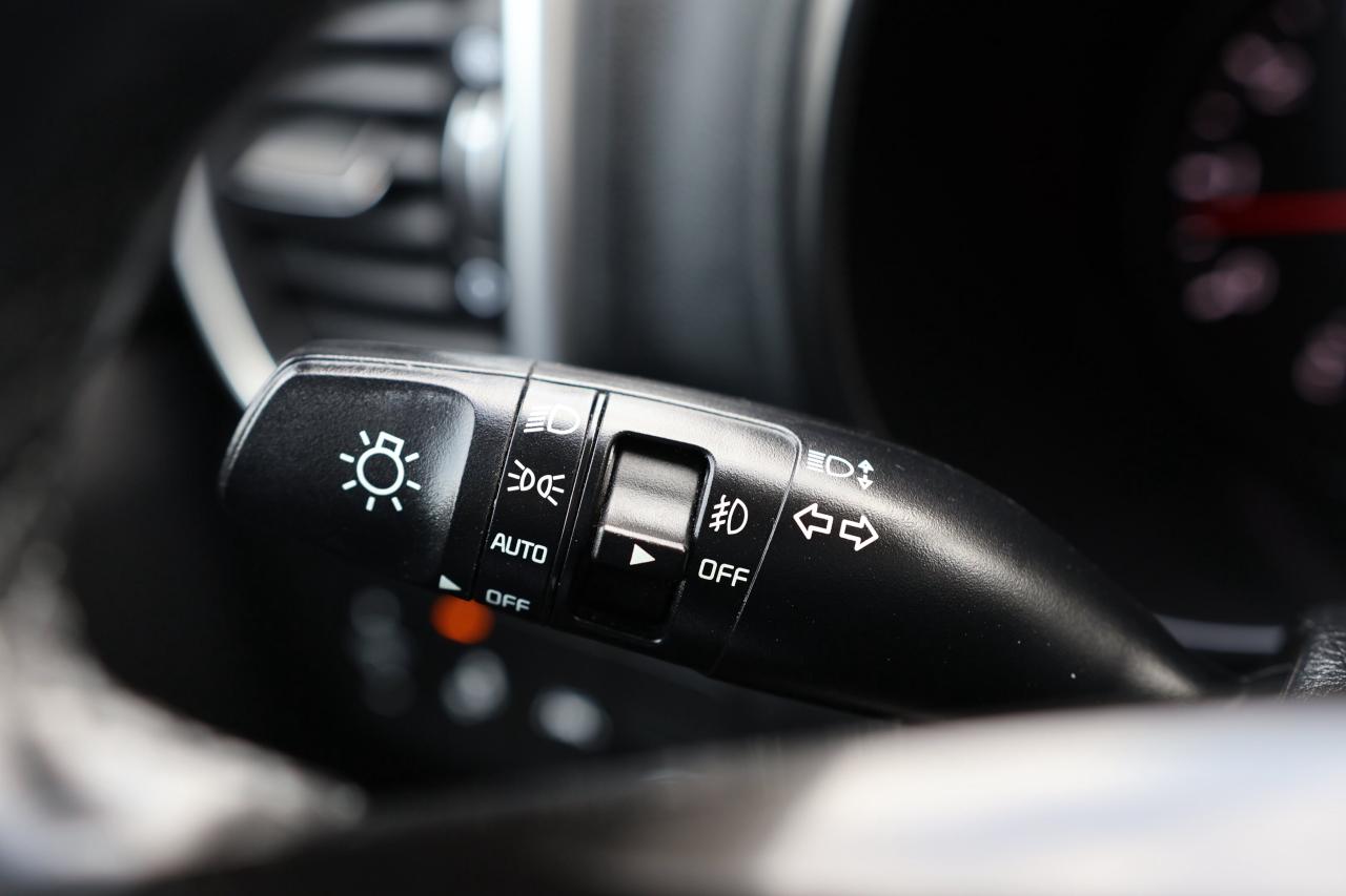 2022 Kia Sportage EX S-PREMIUM-AWD-R STARTER/LEATHER/PANOROOF/CARPLA Photo