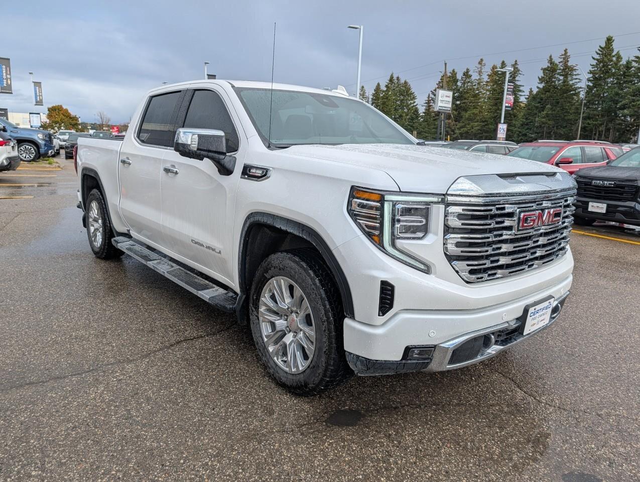 2025 GMC Sierra 1500 DenaliDENALI PREMIUM, DURAMAX, CREW, 4X4, LOADED, Photo