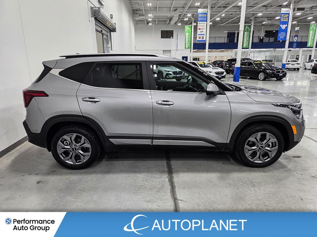 2025 Kia Seltos EX AWD - FINANCE@$88/WK OR LEASE @$116/WK Photo