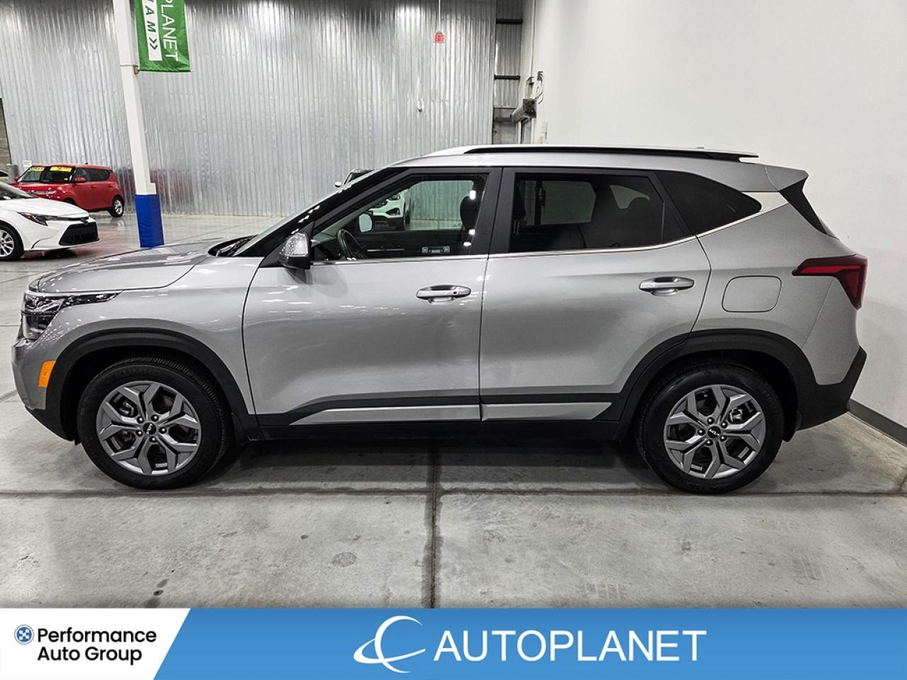 2025 Kia Seltos EX AWD - FINANCE@$88/WK OR LEASE @$116/WK Photo