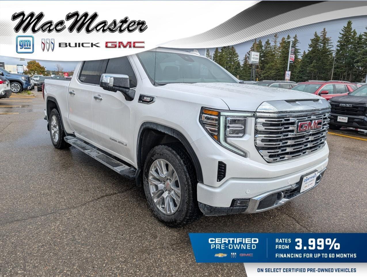 2025 GMC Sierra 1500 DenaliDENALI PREMIUM, DURAMAX, CREW, 4X4, LOADED, Photo