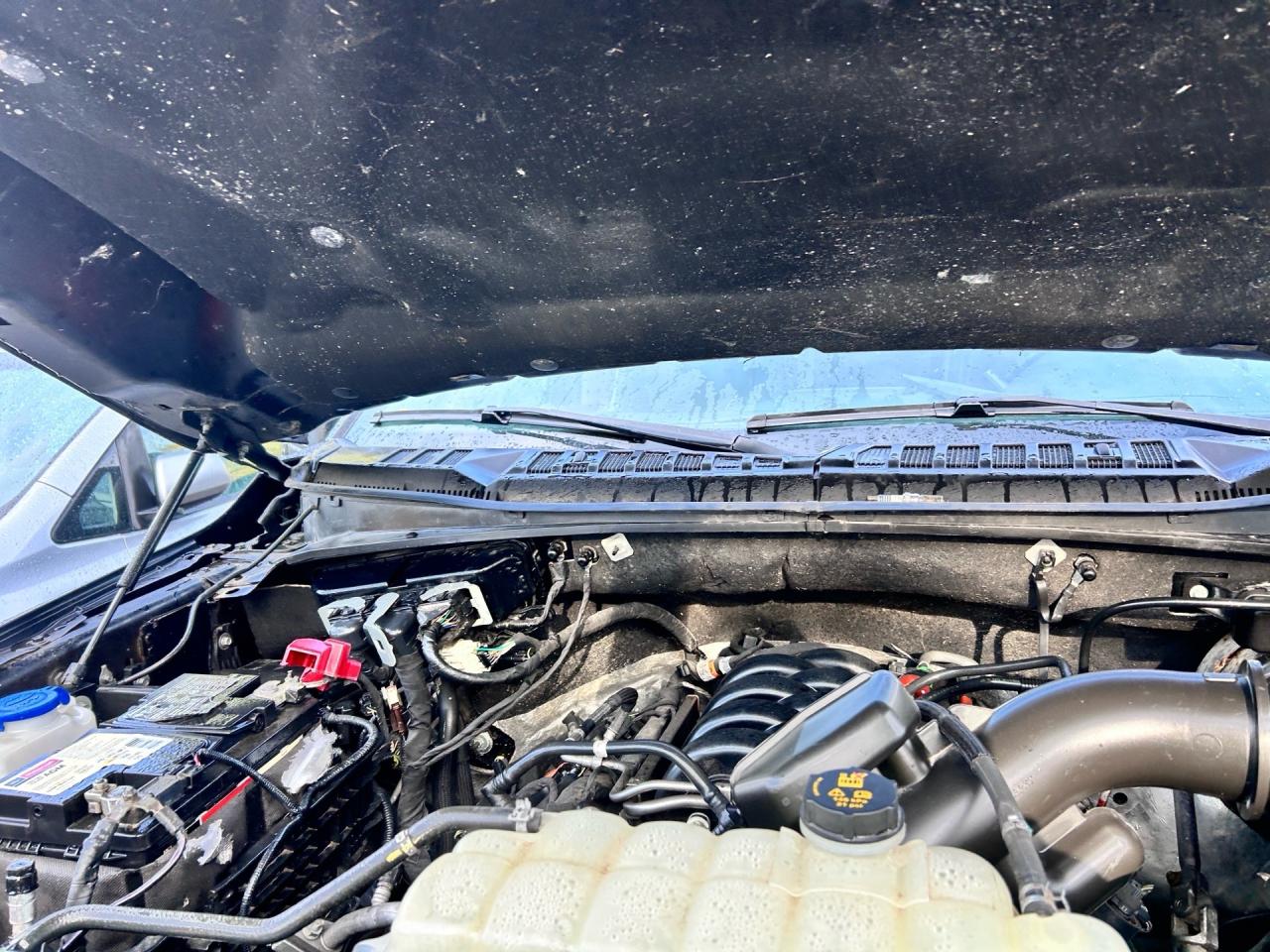 2019 Ford F-150 XL 4WD SuperCrew 5.5' Box Photo2