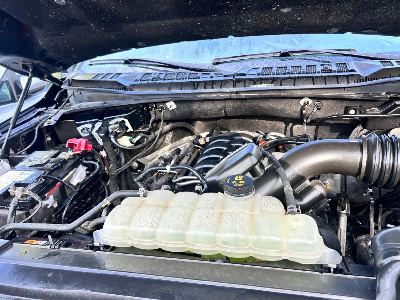 2019 Ford F-150 XL 4WD SuperCrew 5.5' Box Photo3