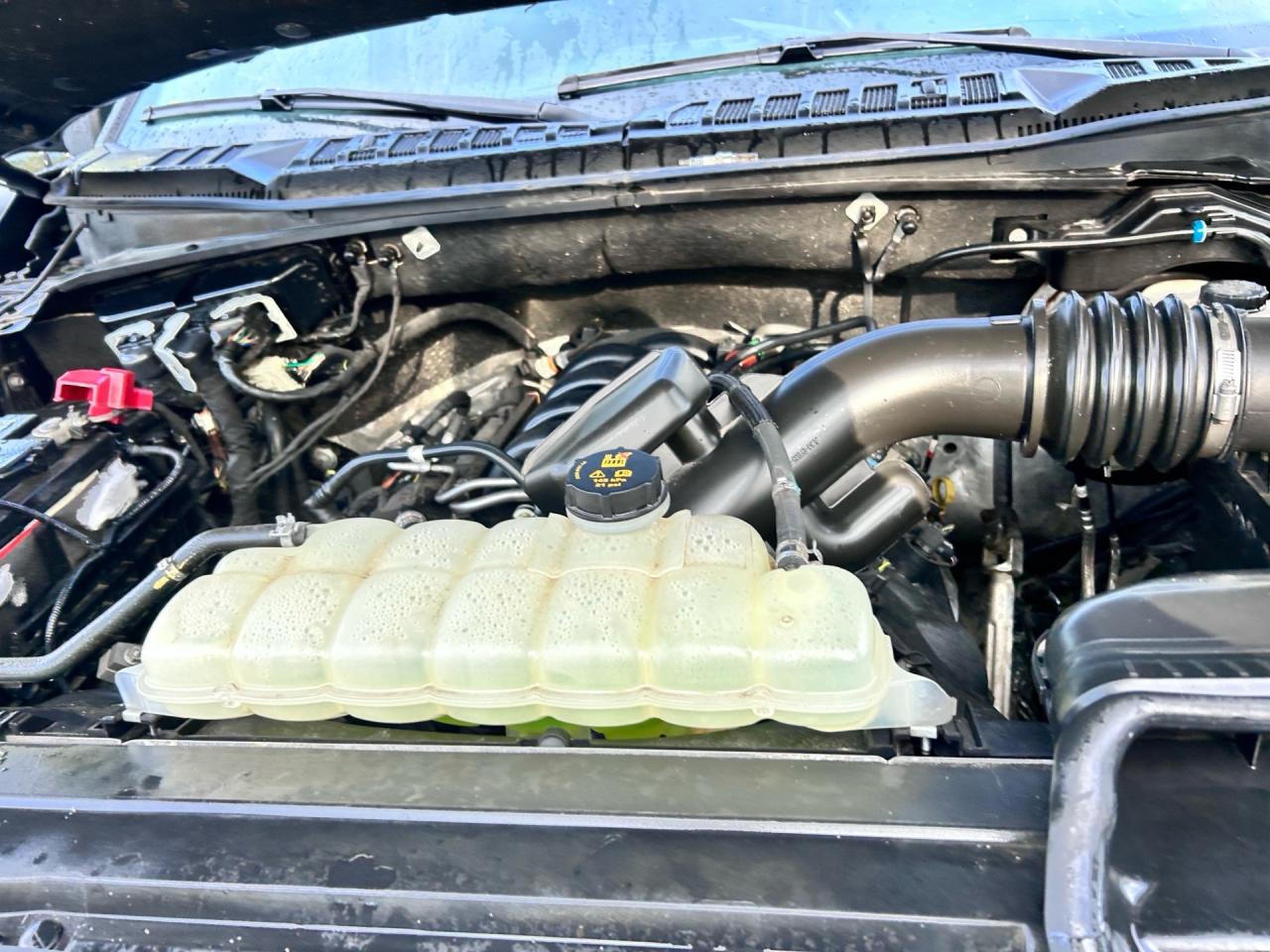 2019 Ford F-150 XL 4WD SuperCrew 5.5' Box Photo4