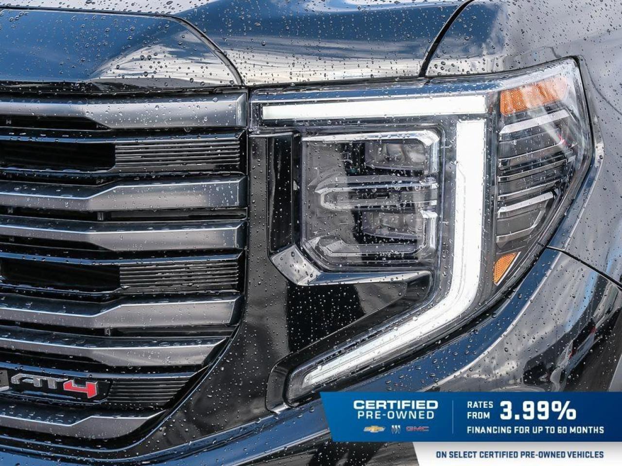 2025 GMC Sierra 1500 AT4AT4 PREMIUM, DURAMAX, CREW, 4X4, LOADED, 1-OWNE Photo