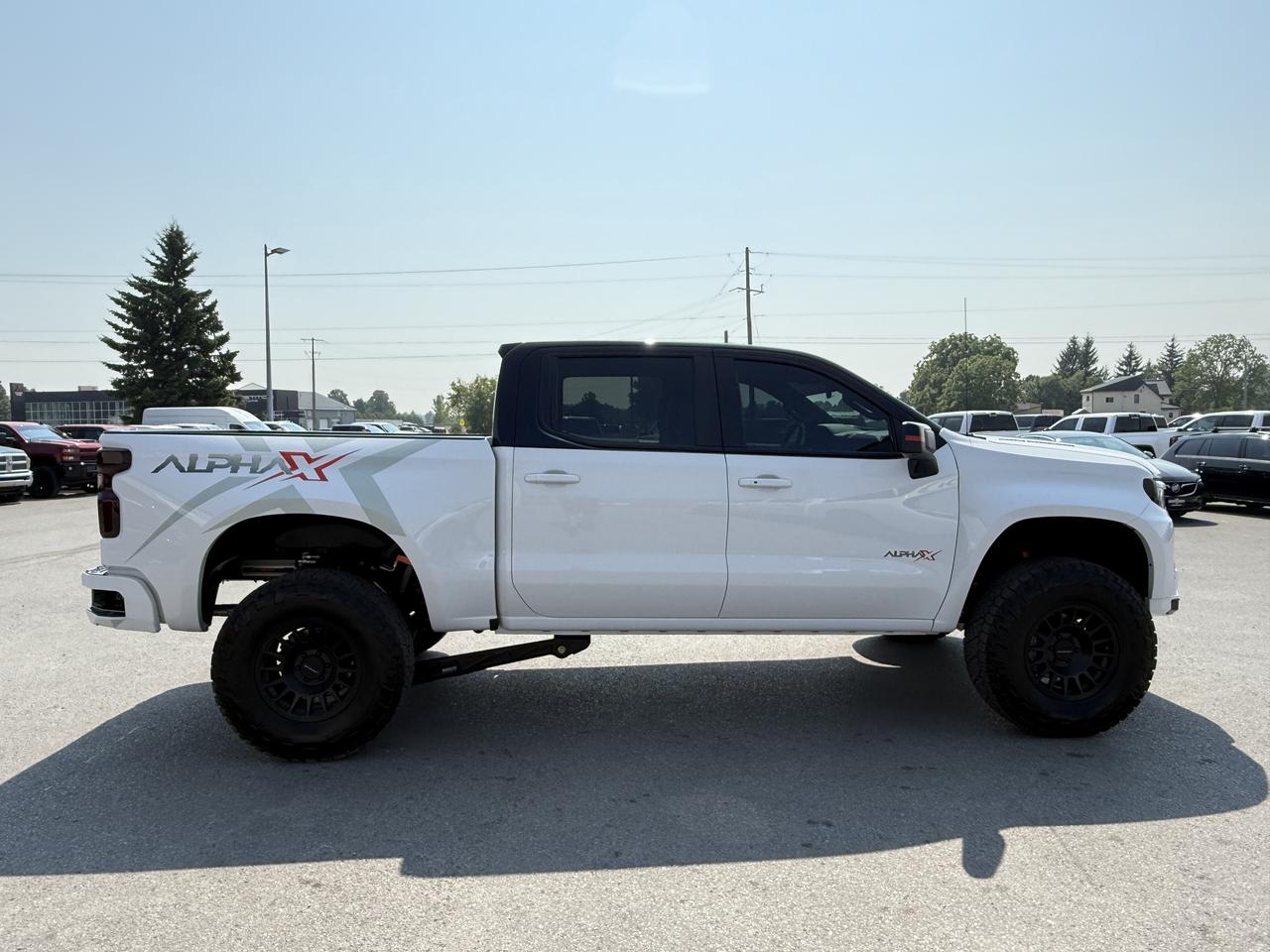 2024 Chevrolet Silverado 1500 4WD Crew Cab 147  RST Photo
