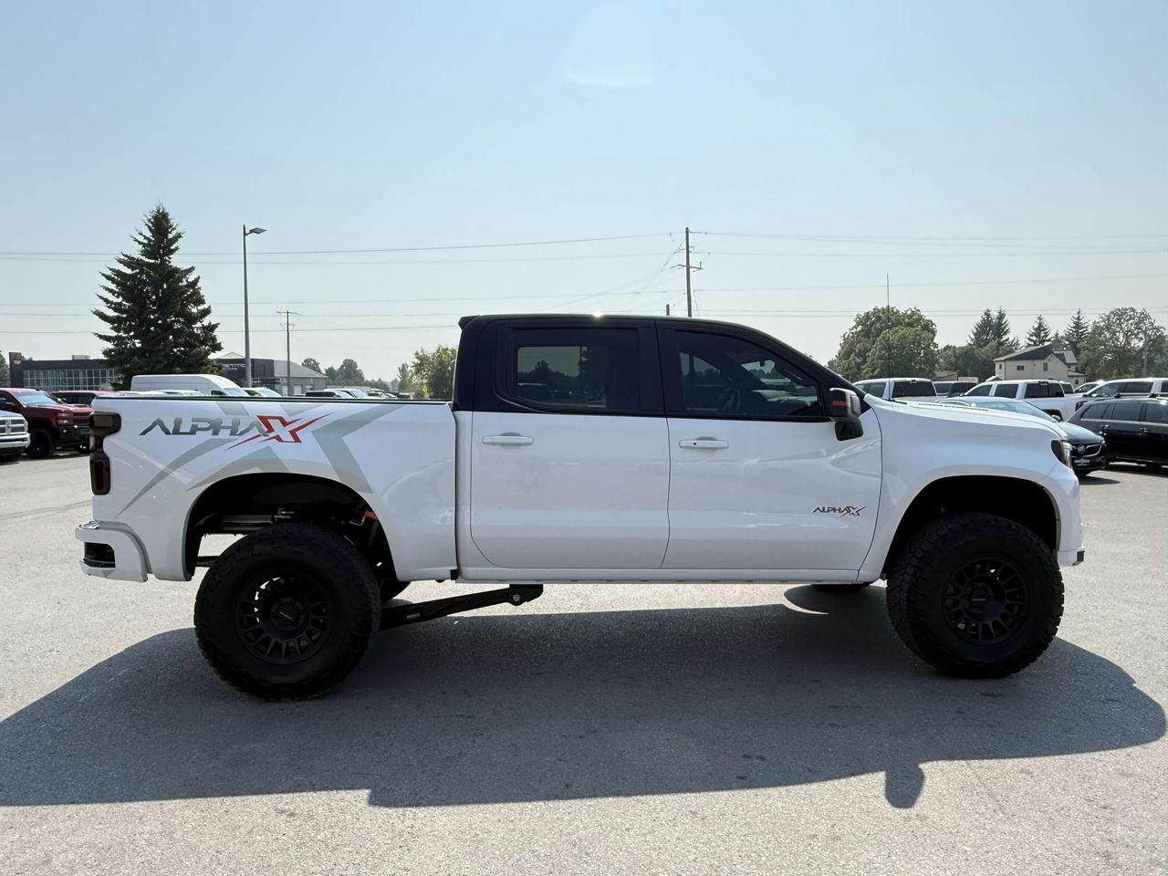 2024 Chevrolet Silverado 1500 4WD Crew Cab 147  RST Photo