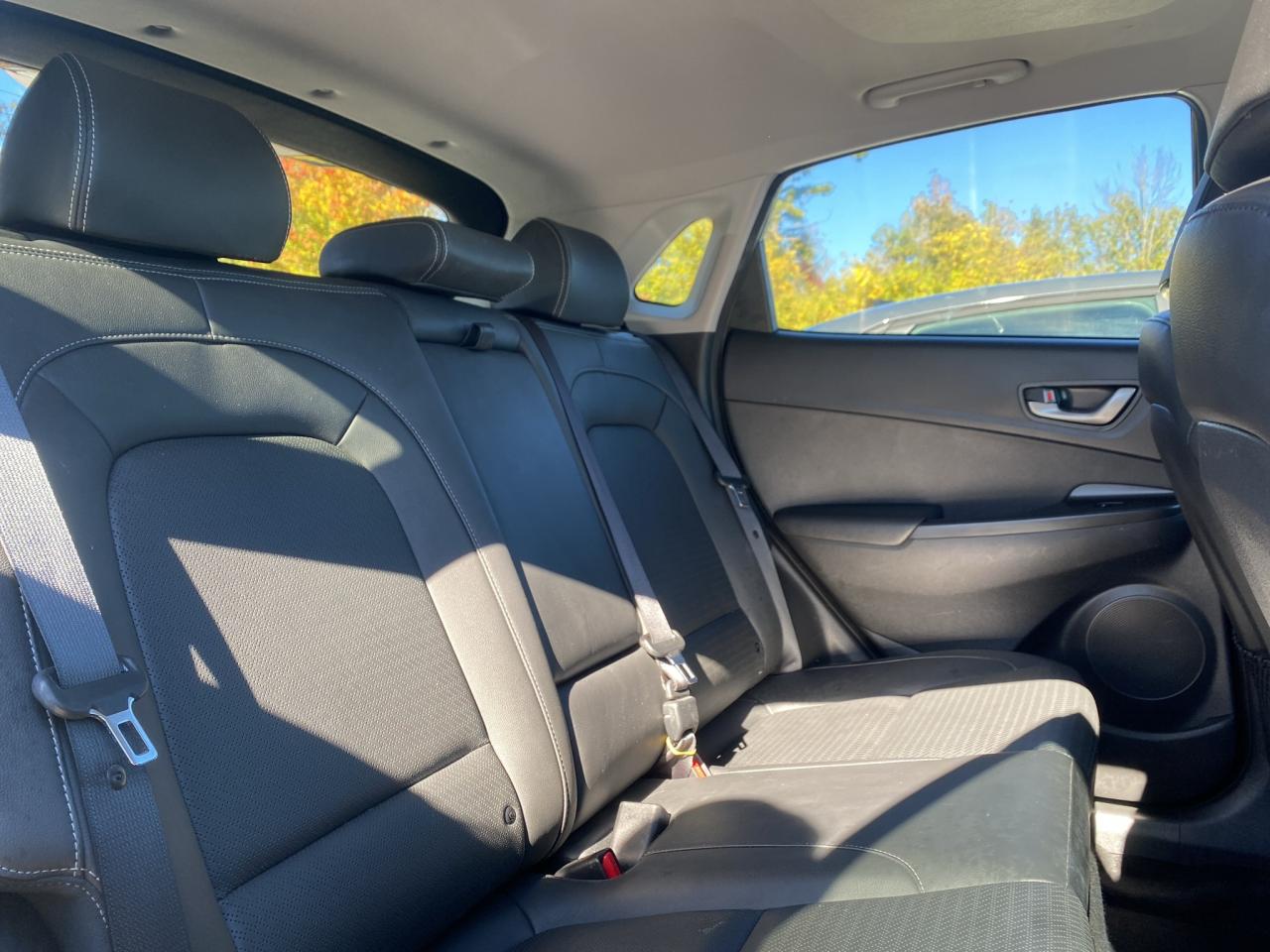 2021 Hyundai KONA 2.0L Luxury AWD Photo