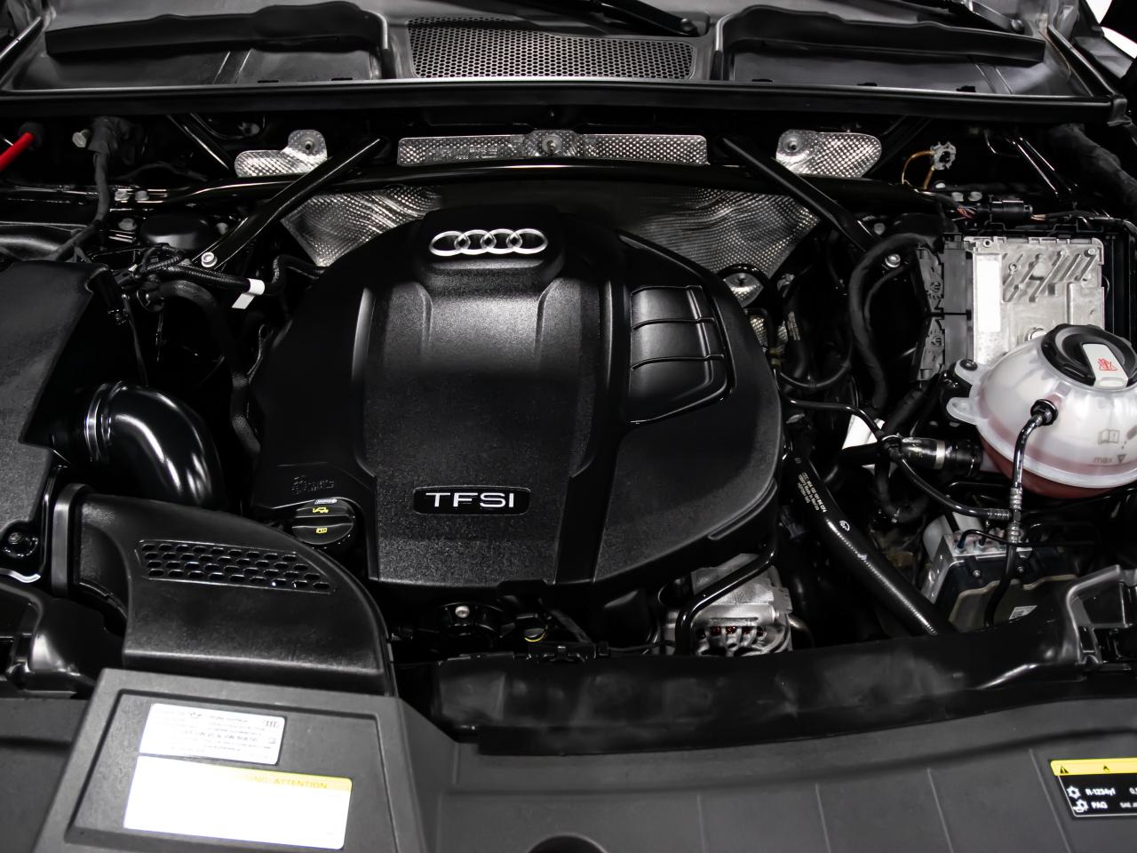 2019 Audi Q5 PROGRESSIV 45 TFSI QUATTRO NAVIGATION REAR VIEW Photo