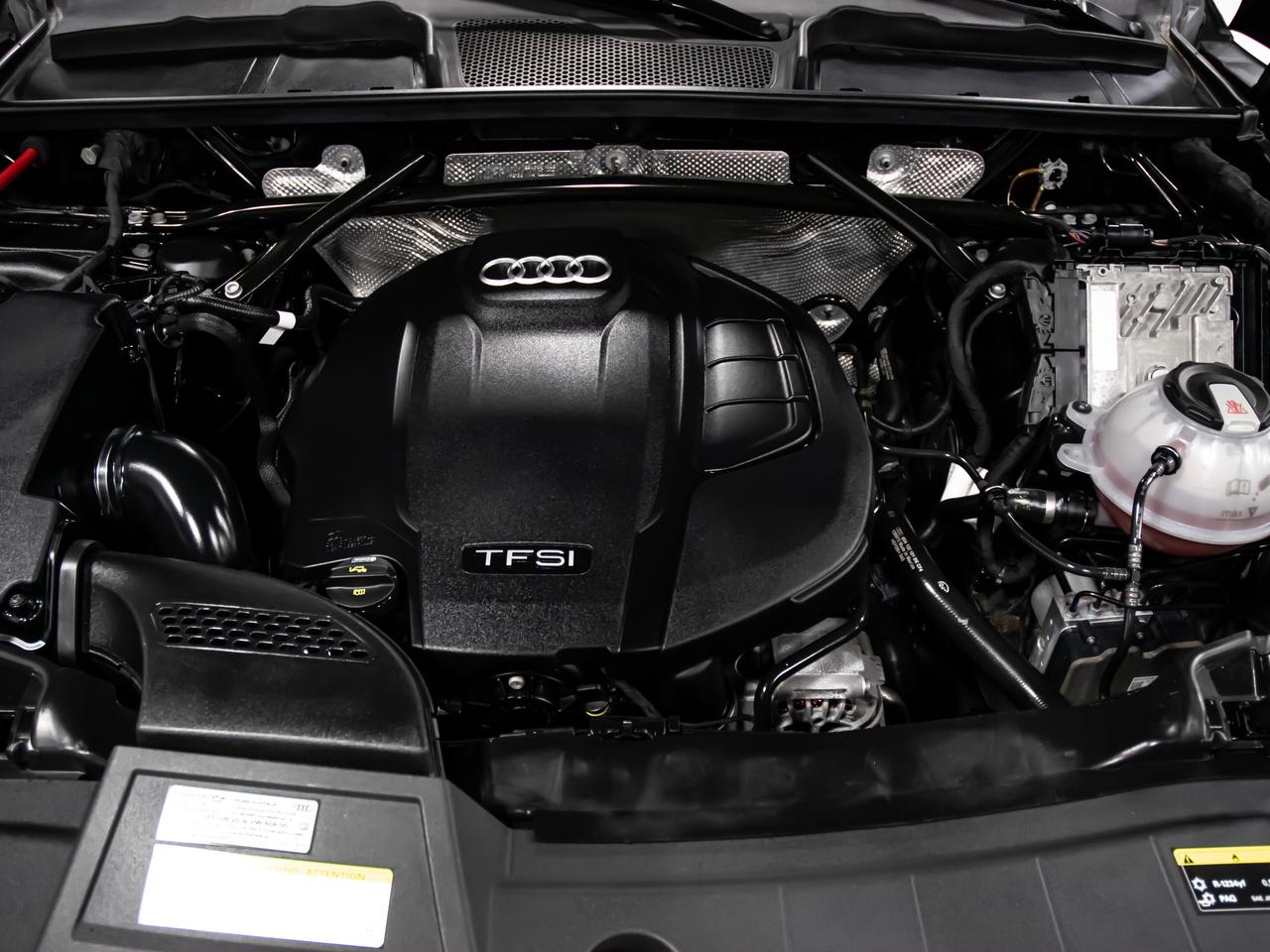 2019 Audi Q5 PROGRESSIV 45 TFSI QUATTRO NAVIGATION REAR VIEW Photo