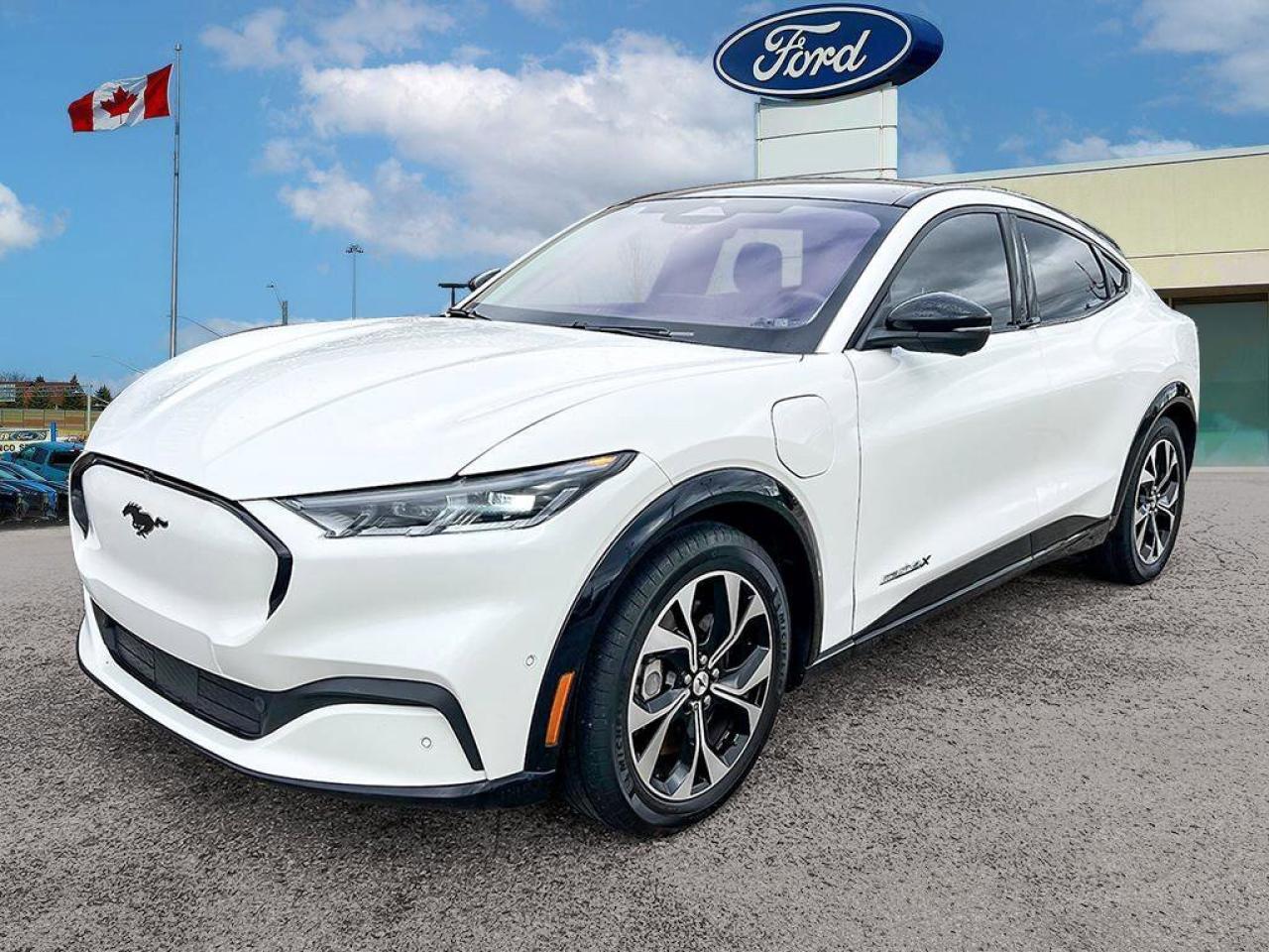 2021 Ford Mustang Mach-E Premium   LEASE RETURN   GLASS ROOF   EXT BATT LEA Photo