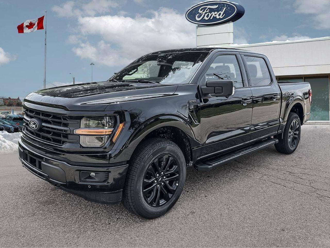 2025 Ford F-150 XLT   Demo Unit   DEMO   360 DEGREE CAMERA   TLGT Photo