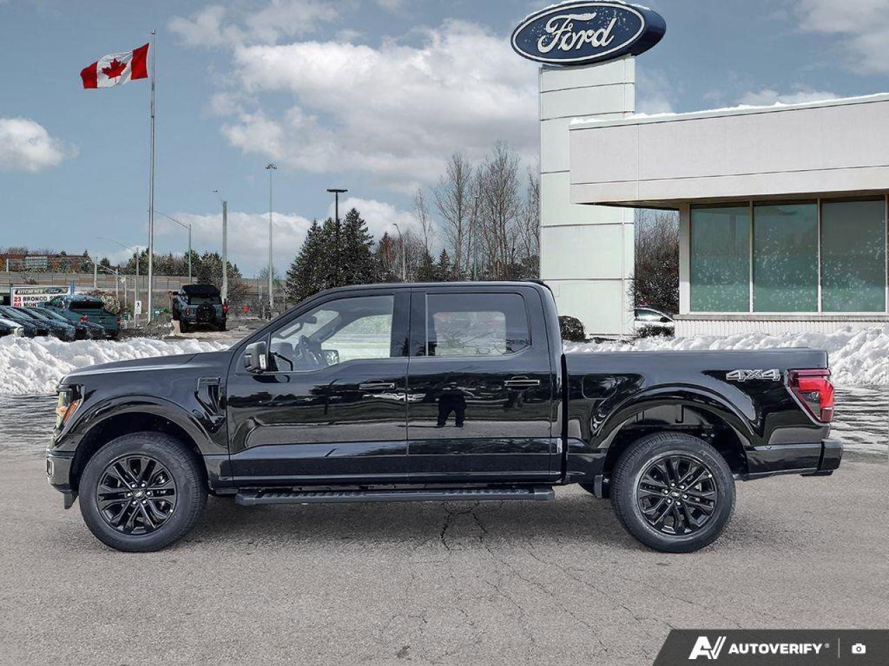 2025 Ford F-150 XLT   Demo Unit   DEMO   360 DEGREE CAMERA   TLGT Photo