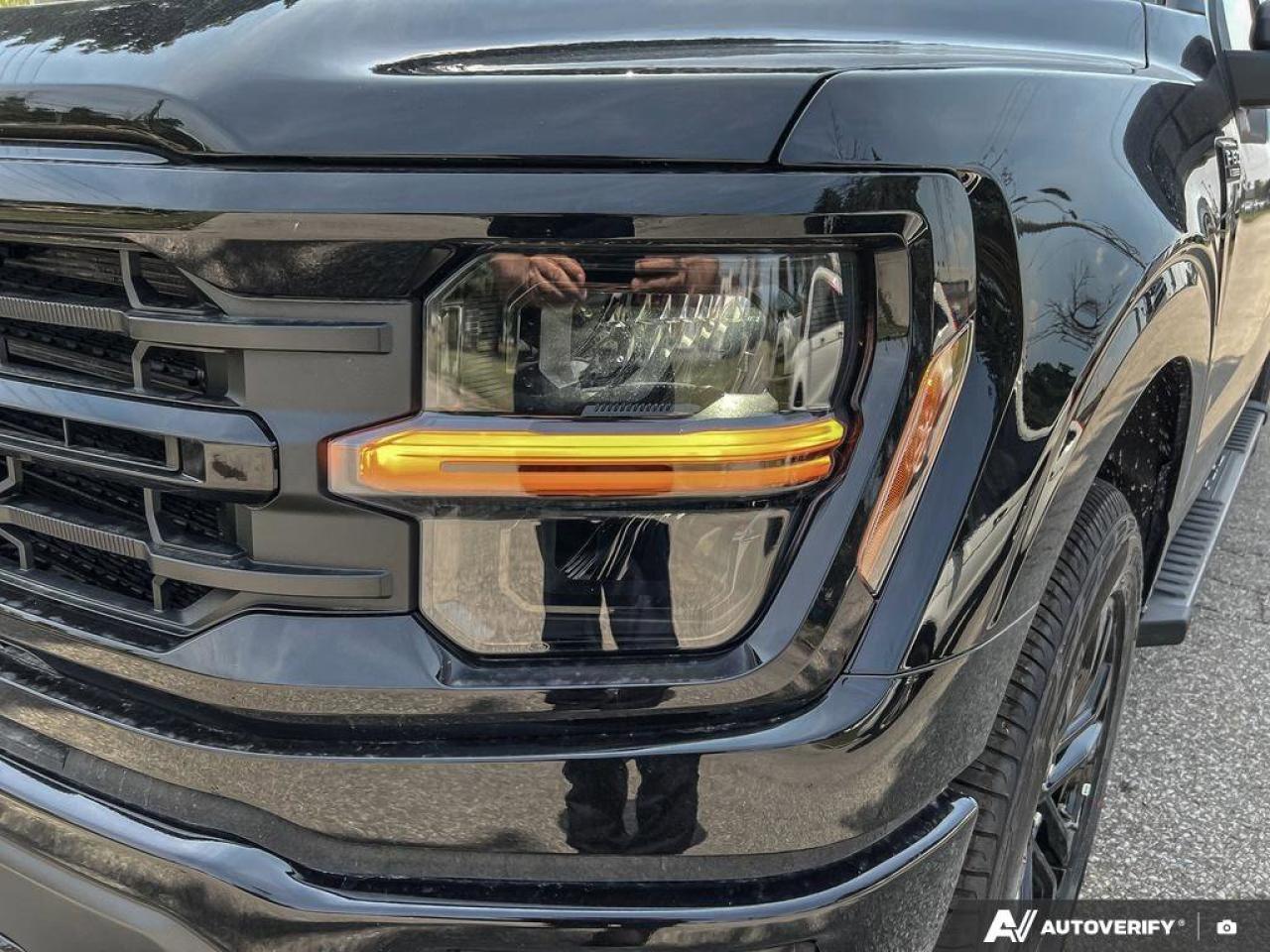 2025 Ford F-150 XLT   Demo Unit   DEMO   360 DEGREE CAMERA   TLGT Photo