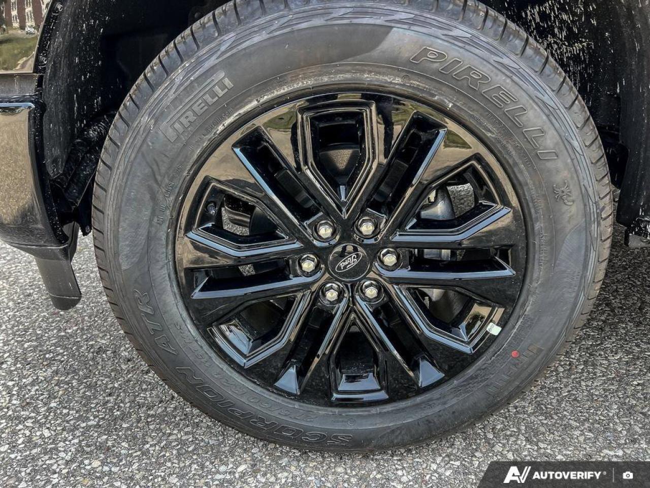 2025 Ford F-150 XLT   Demo Unit   DEMO   360 DEGREE CAMERA   TLGT Photo