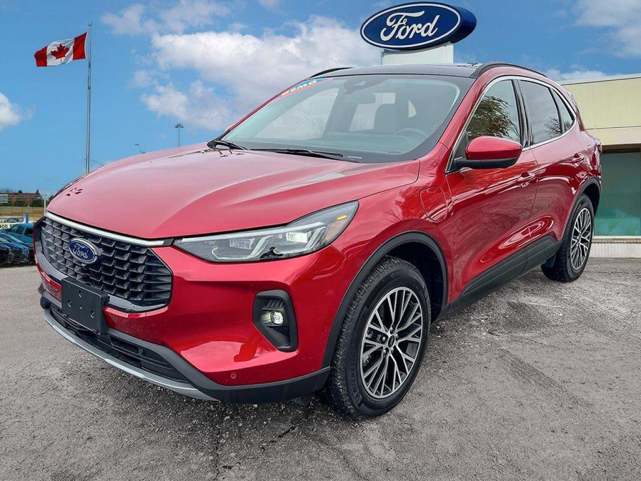 2025 Ford Escape PHEV   DEMO   HTD STEER WHEEL   FWD DEMO   HTD STE Photo