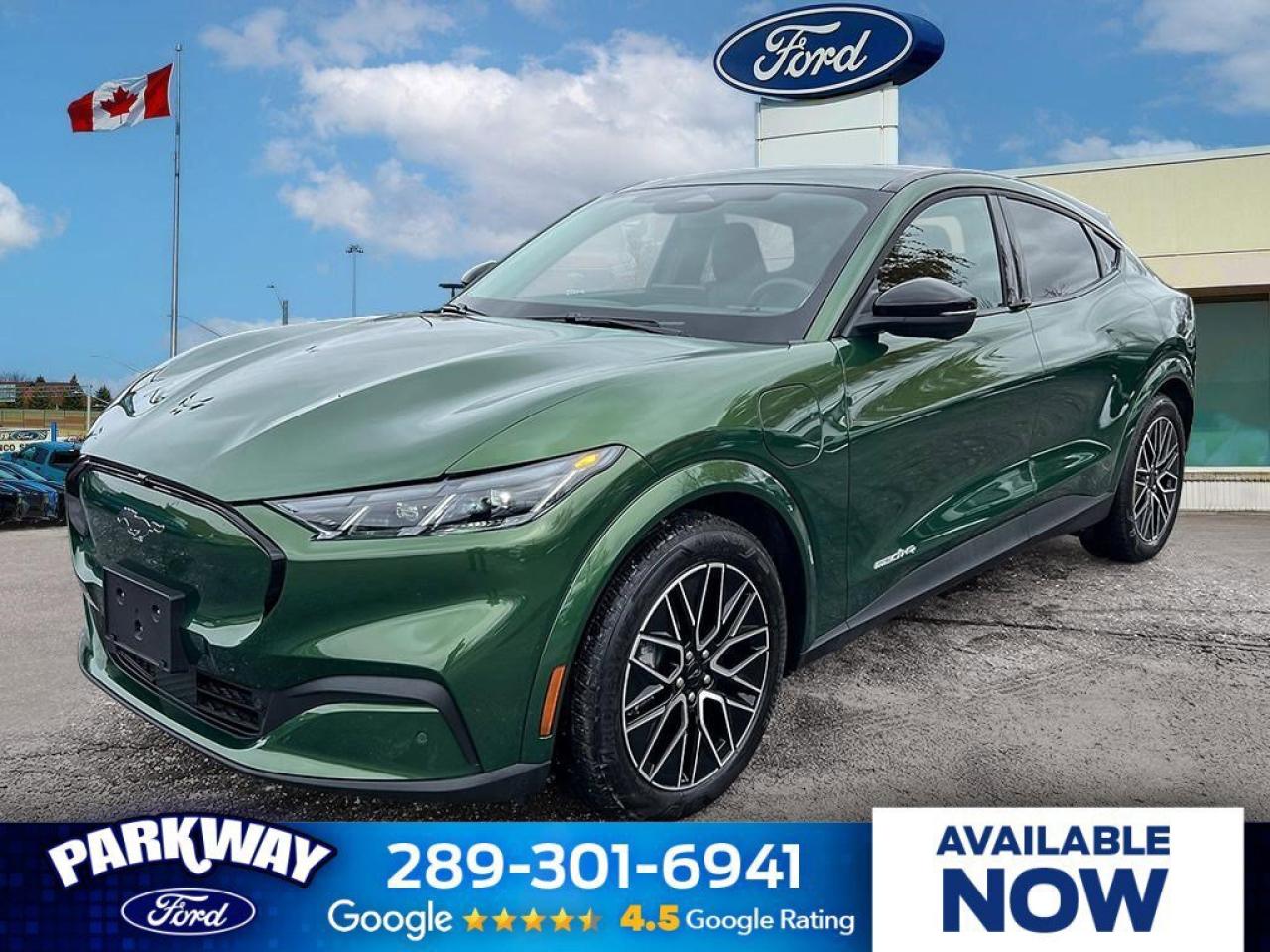 2025 Ford Mustang Mach-E Premium   DEMO   EXT BATTERY   AWD DEMO   EXT BATT Photo0