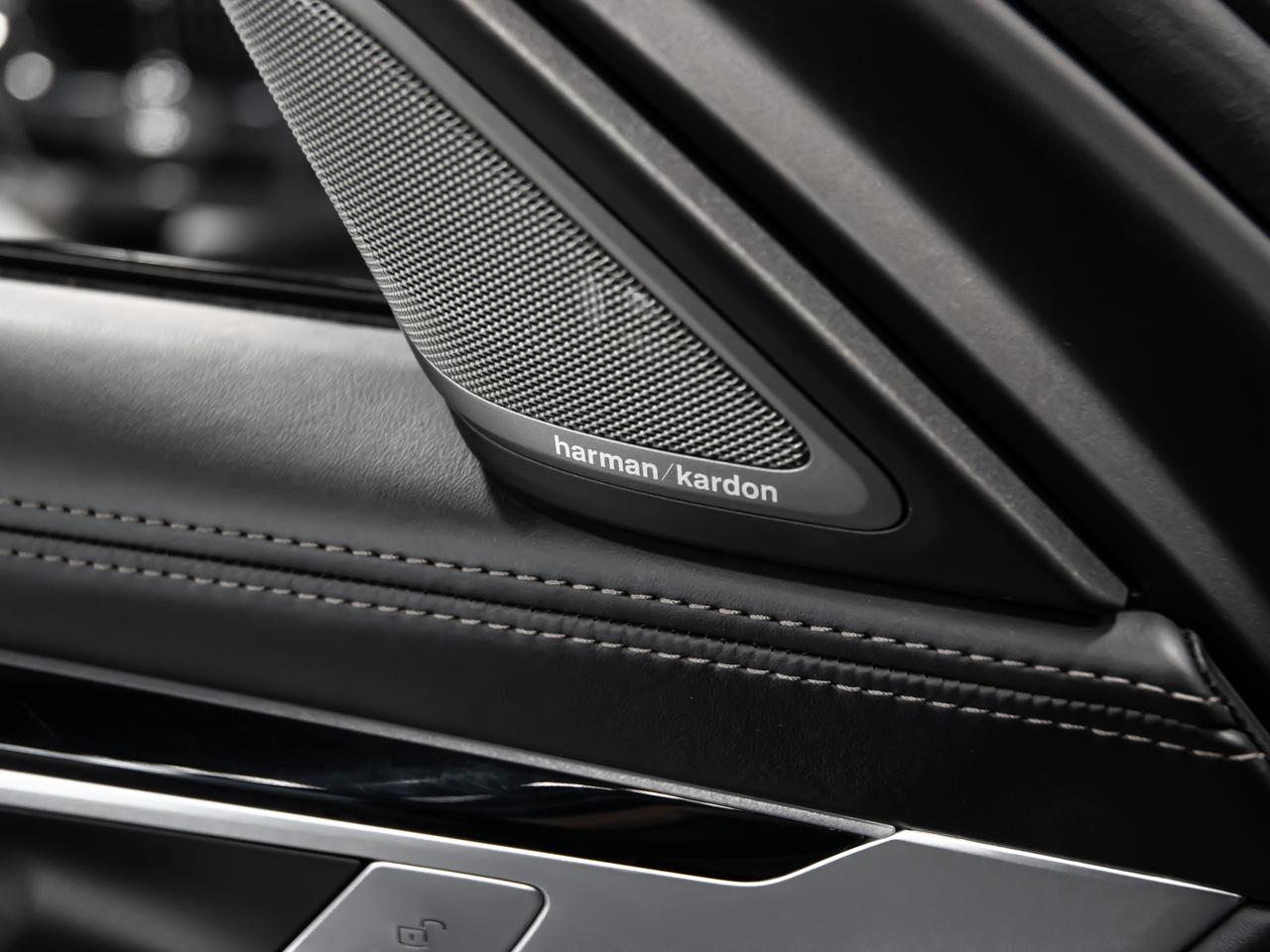 2019 BMW 7 Series 750i xDrive M SPORT EXECUTIVE PKG BLIND SPOTS Photo