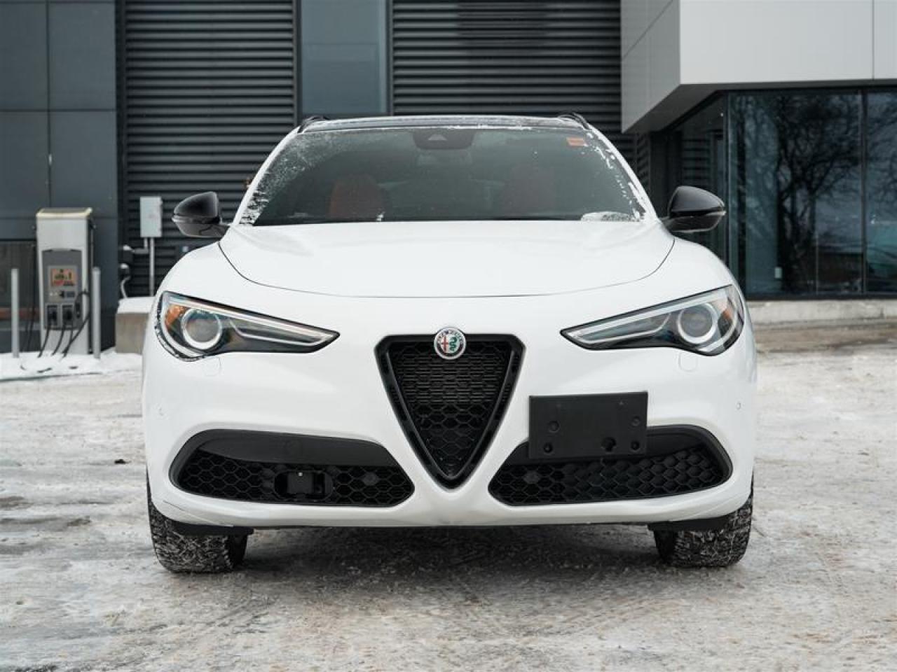 2023 Alfa Romeo Stelvio TI AWD Photo