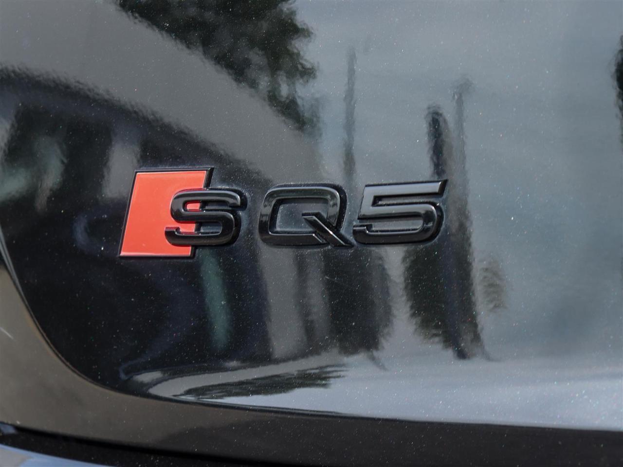 2022 Audi SQ5 3.0T Technik quattro 8sp Tiptronic Photo