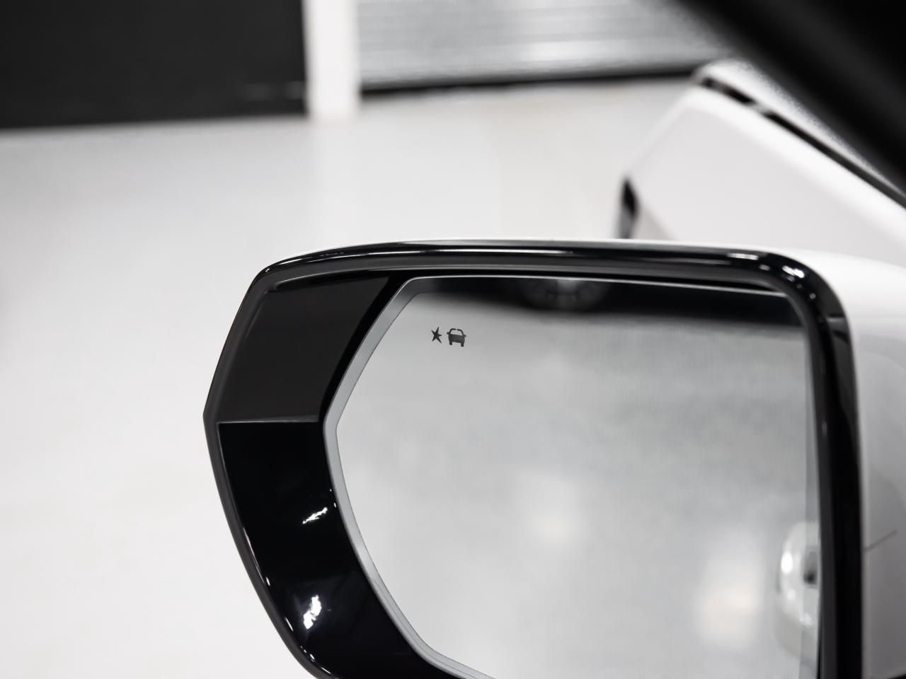 2021 Cadillac Escalade ESV 4WD SPORT PLATIMUM ESV SUPER CRUISE PKG SPORT PLAT Photo