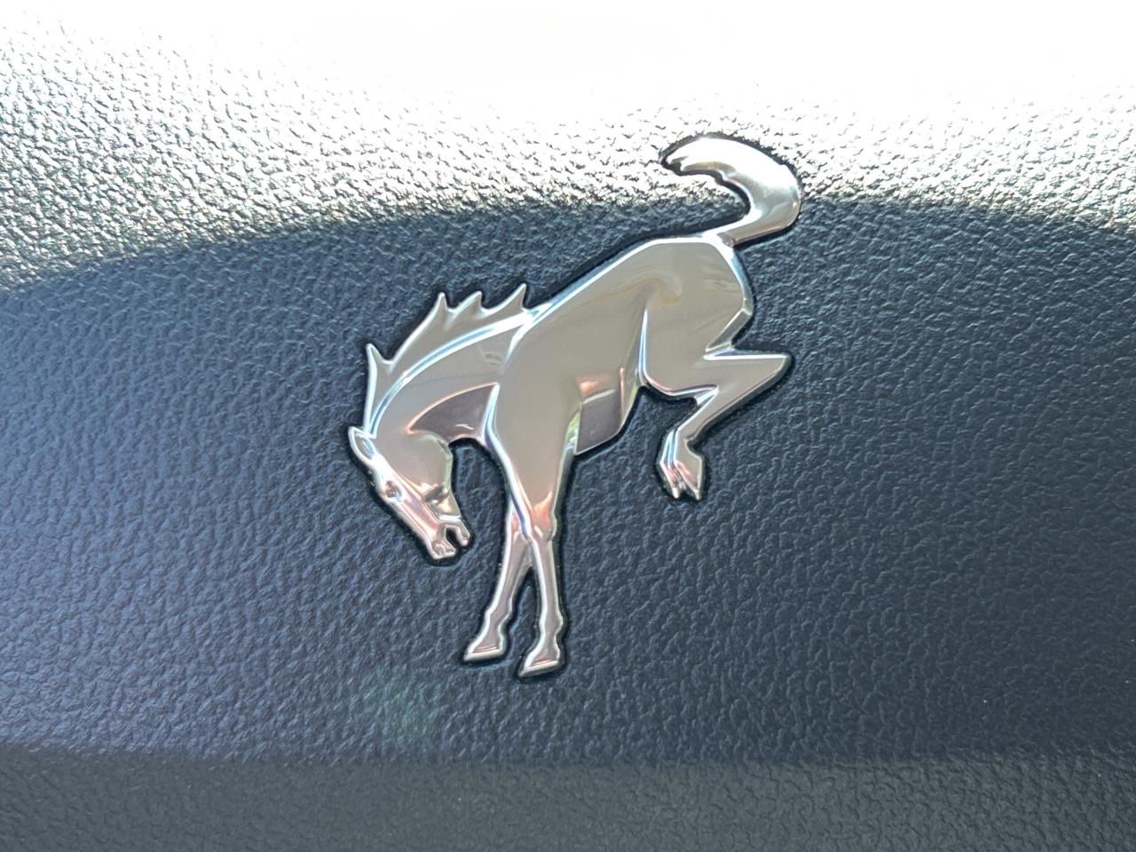 2023 Ford Bronco Sport BIG BEND 4X4, REMOTE START, HEATED SEATS, CARPLAY Photo