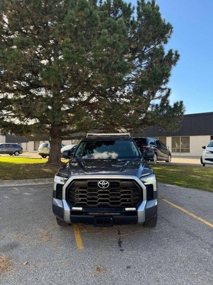 2023 Toyota Tundra 4x4 Double Cab Sr Photo