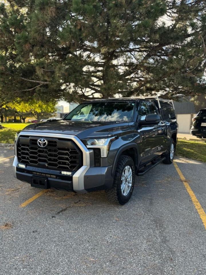 2023 Toyota Tundra 4x4 Double Cab Sr Photo
