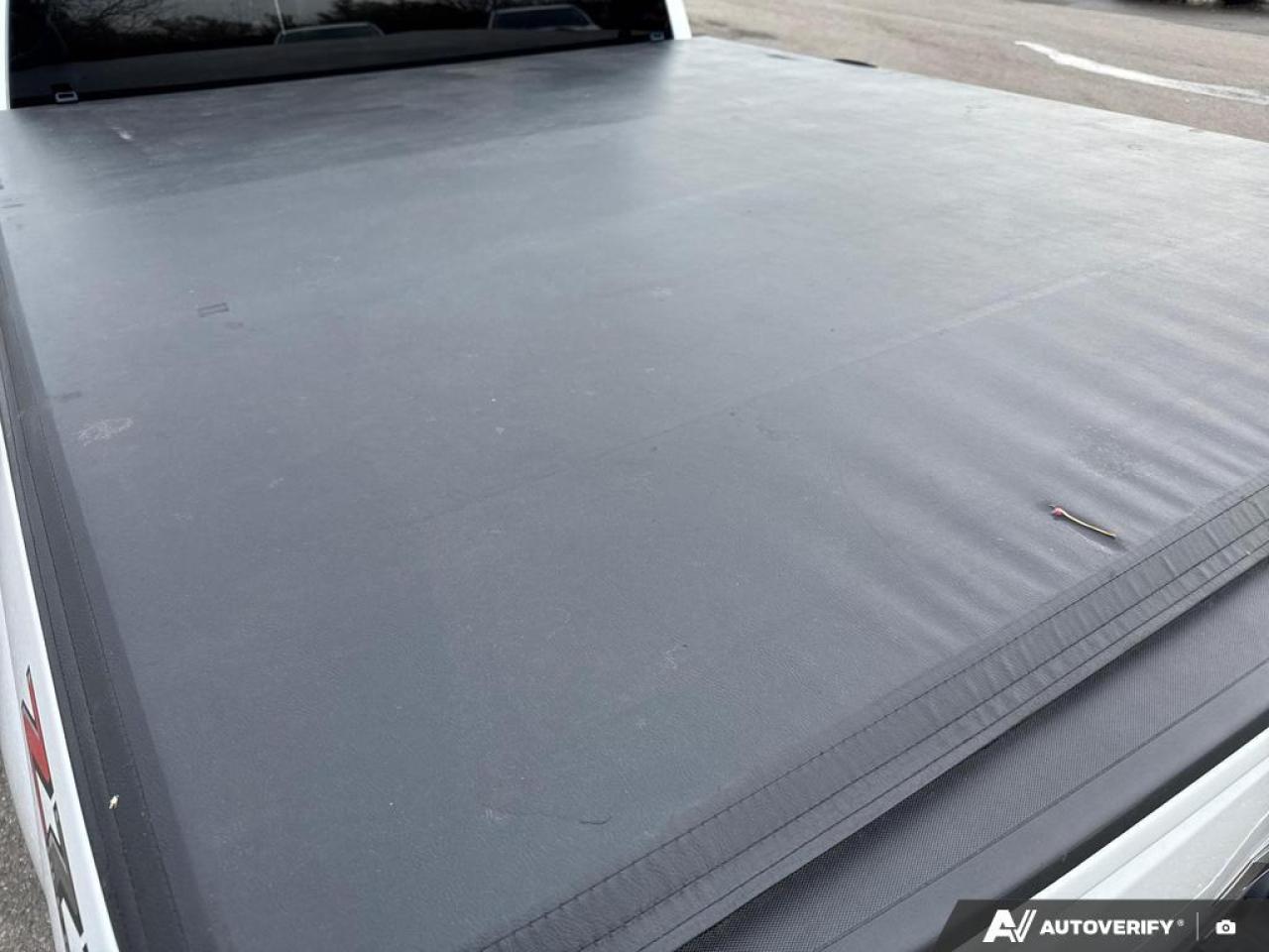 2019 Chevrolet Silverado 1500 LT BACKUP CAM   BLUETOOTH   KEYLESS ENTRY   SIRIUS Photo